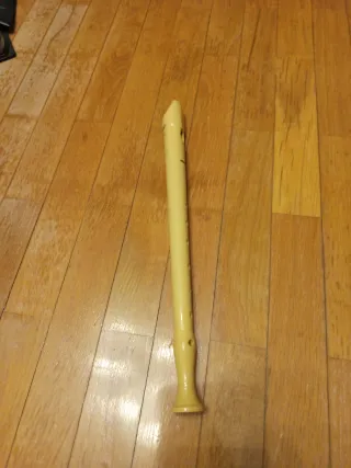 Funda para flauta con flauta