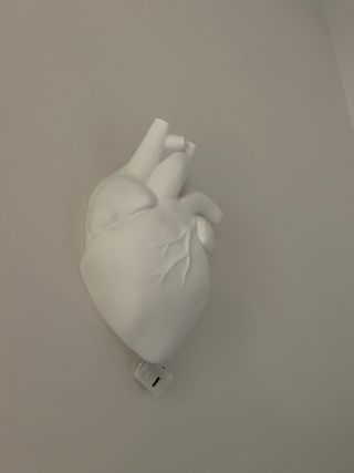 Lampada Cuore Anatomico Design Unico