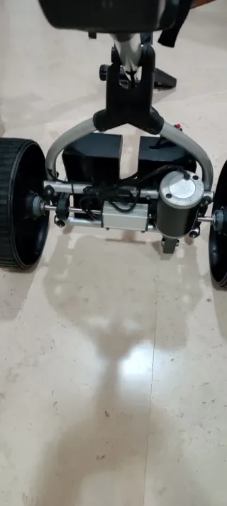 Carro de golf eléctrico