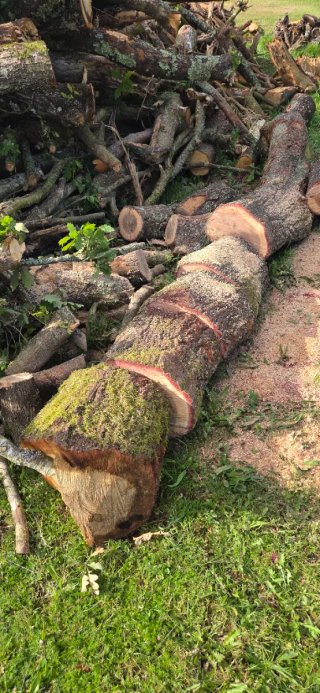 Leña troceada para chimenea