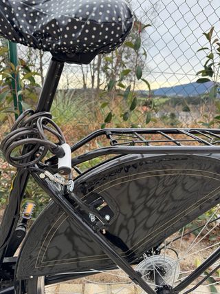 Bicicleta Paseo Moma Holland Classic