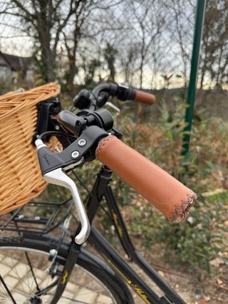 Bicicleta Paseo Moma Holland Classic