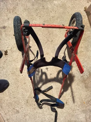 Sedia a rotelle per cani