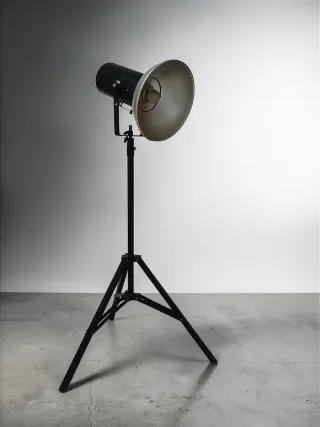 Foco de Estudio BOWENS Monolite 800E