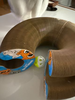 2 Rizos Bestfriend GATOS