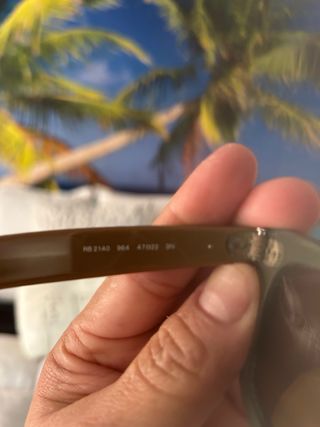 Gafas Ray-Ban Marrones y Verdes