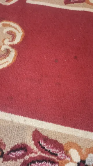 Alfombra granate 6 metros