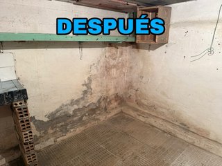 Limpiezas URGENTES económicas