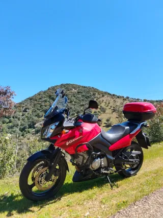 Suzuki Dl650 V-Strom