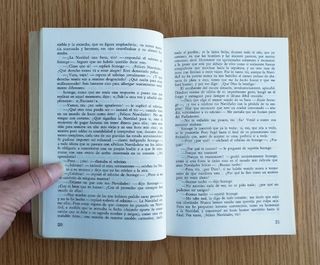 Novela "Cuento de Navidad" / "El grillo del hogar"