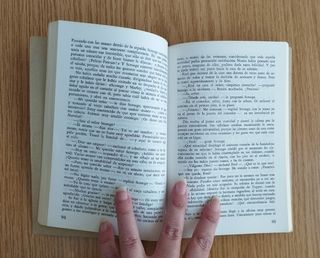 Novela "Cuento de Navidad" / "El grillo del hogar"