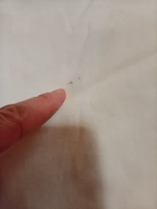 Sábanas Ikea Blancas