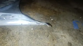 Capó BMW E36 Coupé