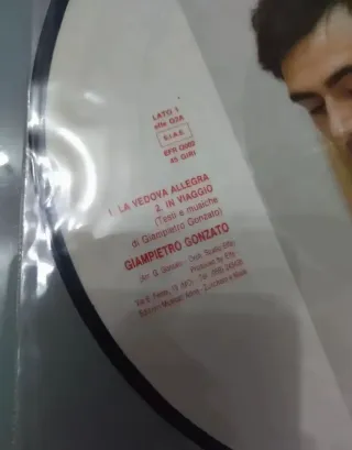 Set Lotto di 2 Dischi Disco Vintage LP vinile