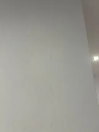 Servicios de pintura y decoración