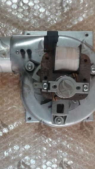 Extractor Caldera Roca Victoria 20-20