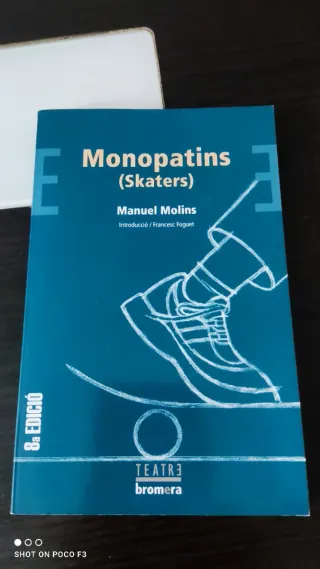Monopatins (Skaters)