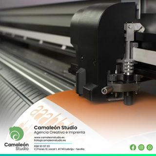 Vinilo de Corte Personalizado a Medida