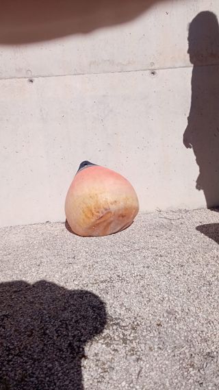 Boya Marina Roja y Negra