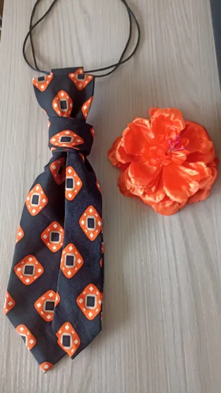 Cravatta gioiello nero arancio