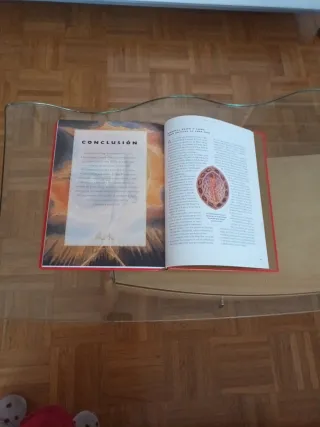 Guía completa ilustrada del FENG SHUI