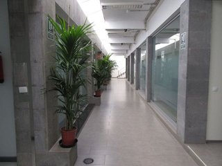 Oficina en alquiler en Ciudad Jardín en Palmas de Gran Canaria(Las)