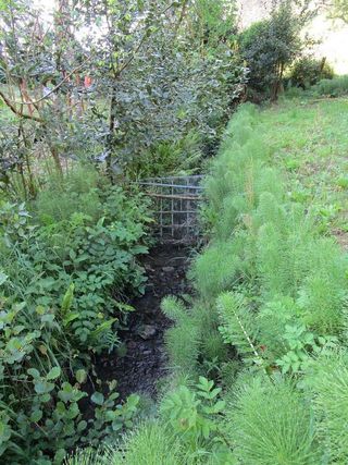 Terreno en venta en Lekeitio