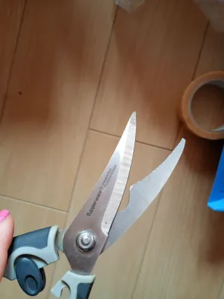 Trincia pollo da cucina Tupperware