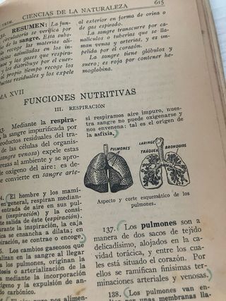 Libri Scolastici Antichi Anni '50