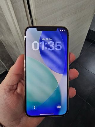 iPhone 12 Pro Max Gold