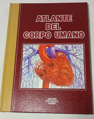 Atlante del corpo umano