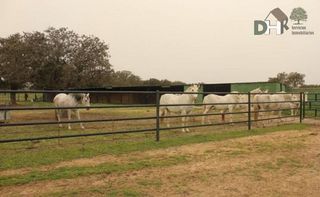 Terreno en venta en Mejostilla en Cáceres