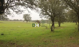 Terreno en venta en Mejostilla en Cáceres