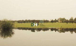 Terreno en venta en Mejostilla en Cáceres