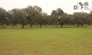 Terreno en venta en Mejostilla en Cáceres