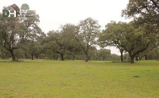 Terreno en venta en Mejostilla en Cáceres