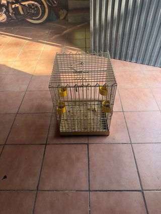 Jaula para loro o ave mediana