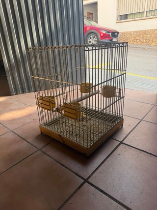 Jaula para loro o ave mediana