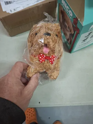 Perro Robot Nico WUDLi