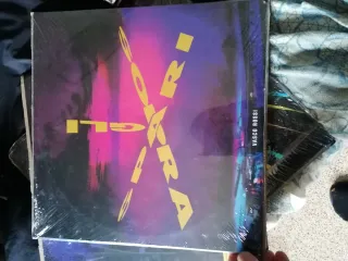 Collezione 22 Vinili Originali Vasco Rossi +calend