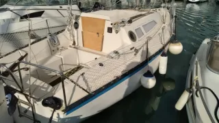 Velero Kelt 7.60m