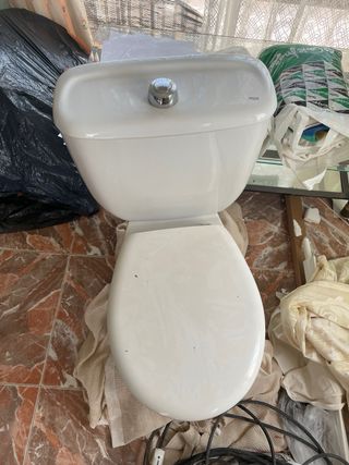 Inodoro Roca Victoria Blanco