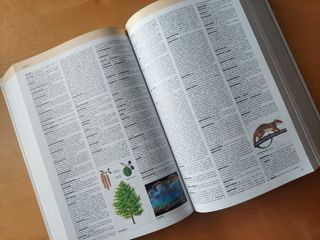 Dizionario enciclopedia italiano di Rizzoli