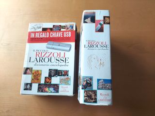 Dizionario enciclopedia italiano di Rizzoli