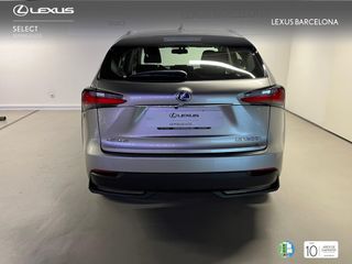 Lexus NX300h CORPORATE 2015 REF 9791