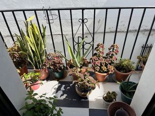 Casa en venta en Vejer de la Frontera