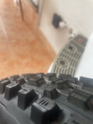 Cubierta Maxxis Assegai 29x2.5 3C MaxxTerra EXO TR