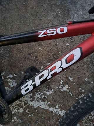 Bicicletas para niñas/os con ruedas de 20"y 24".