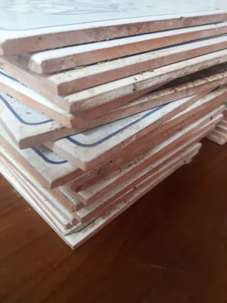 Restos  de azulejos Vintage Flores Azules