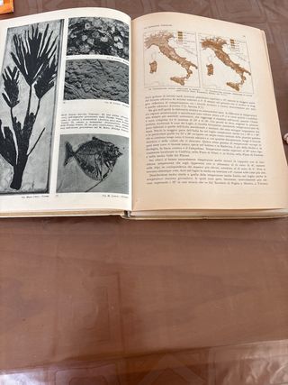 Italia fisica.  Volume 1